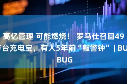 高亿管理 可能燃烧！ 罗马仕召回49万台充电宝，有人5年前“敲警钟” | BUG