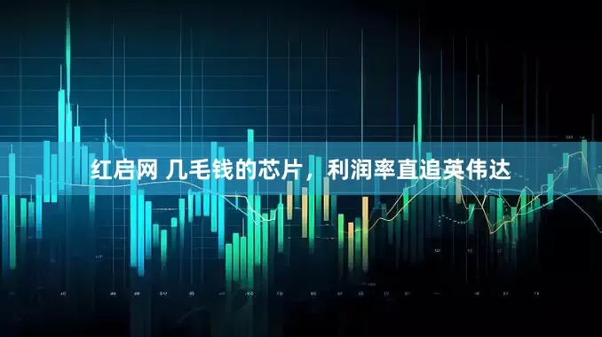 红启网 几毛钱的芯片，利润率直追英伟达