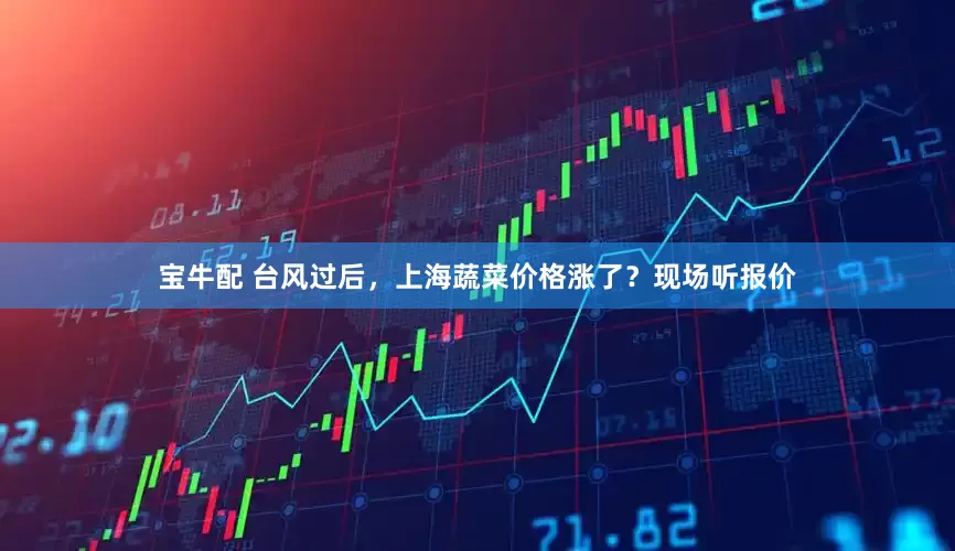 宝牛配 台风过后，上海蔬菜价格涨了？现场听报价