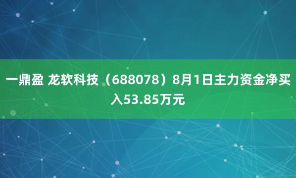 一鼎盈 龙软科技（688078）8月1日主力资金净买入53.85万元