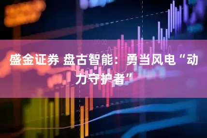 盛金证券 盘古智能：勇当风电“动力守护者”
