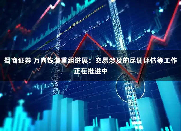 蜀商证券 万向钱潮重组进展：交易涉及的尽调评估等工作正在推进中