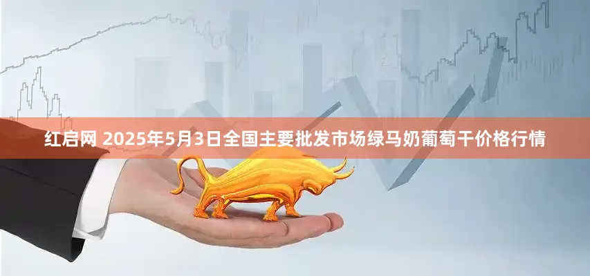 红启网 2025年5月3日全国主要批发市场绿马奶葡萄干价格行情