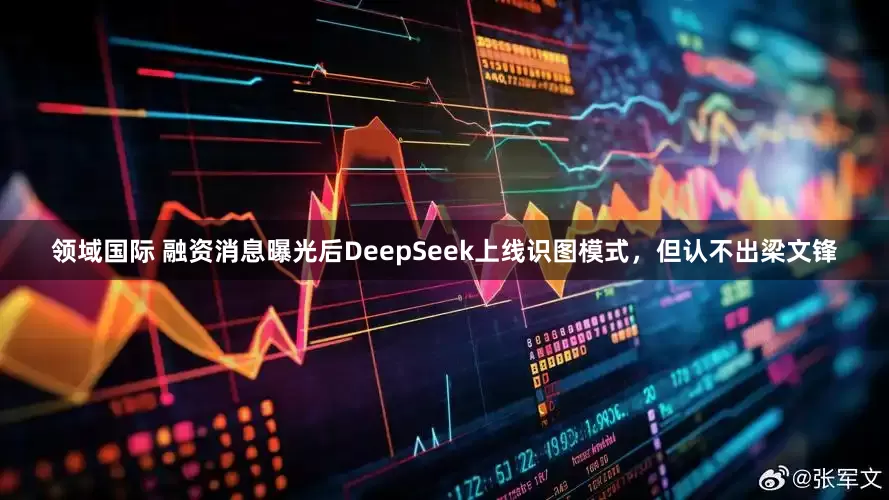领域国际 融资消息曝光后DeepSeek上线识图模式，但认不出梁文锋